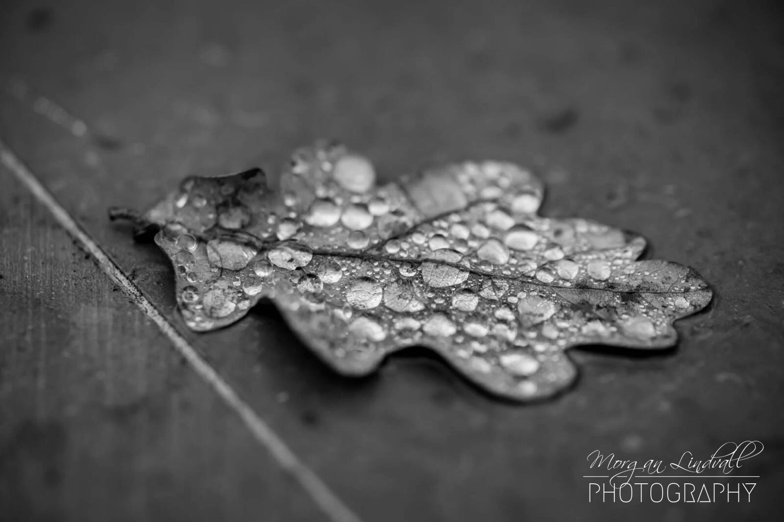 Natur