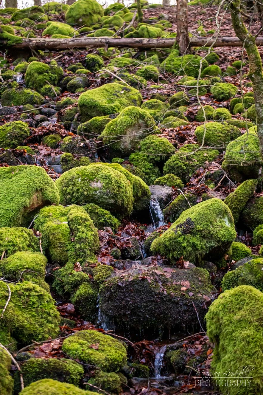 Natur