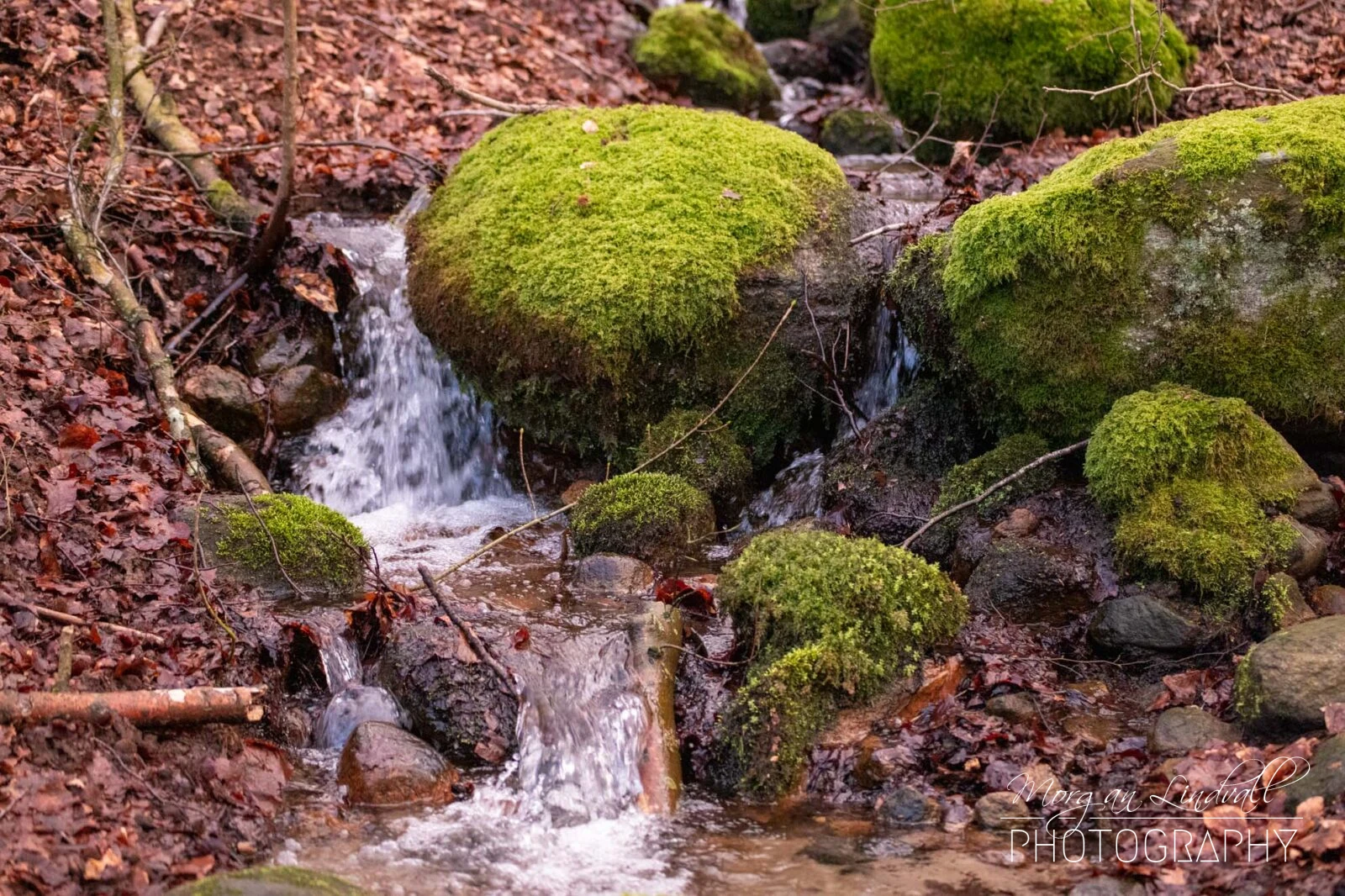 Natur