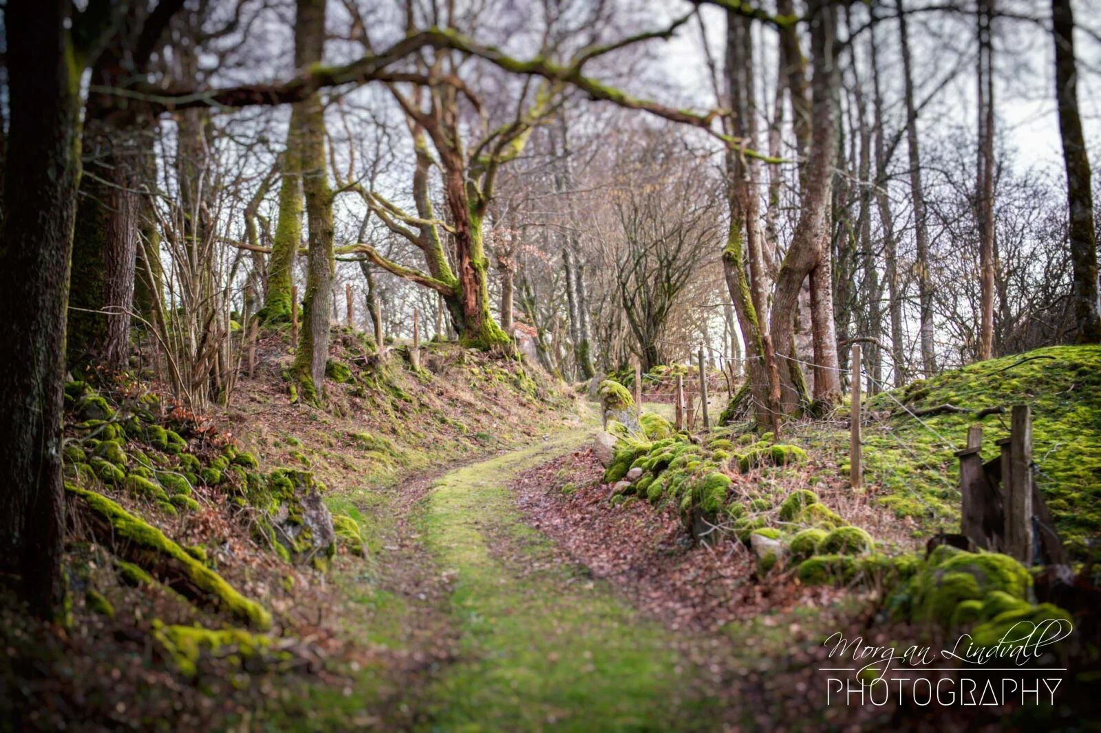Natur