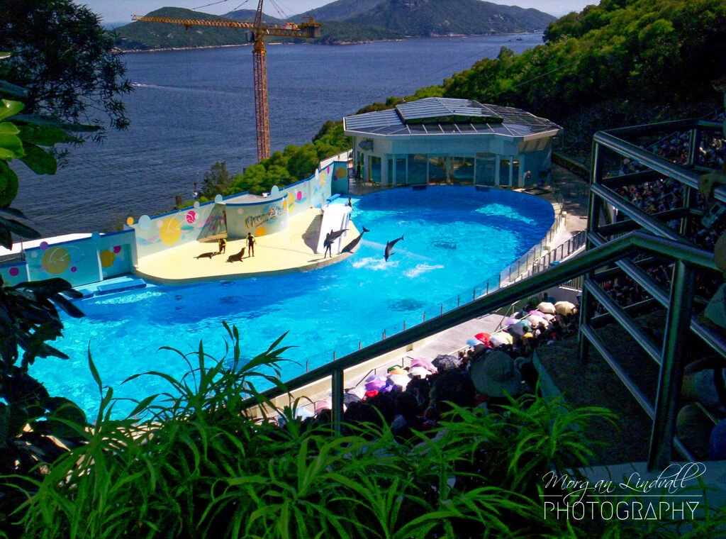 Ocean-Park