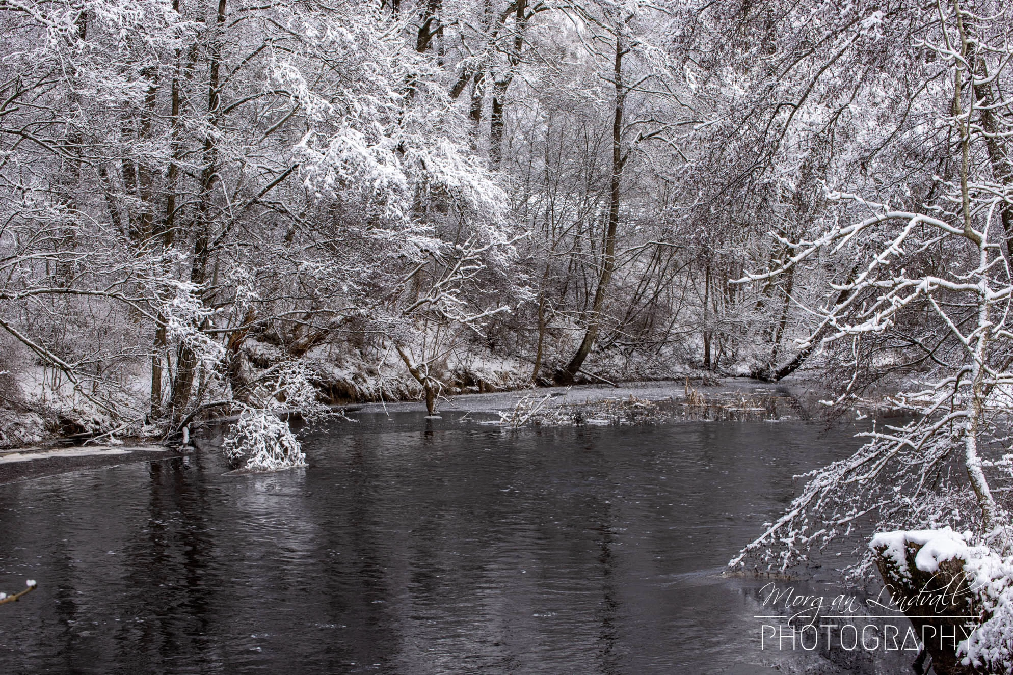 Vinter