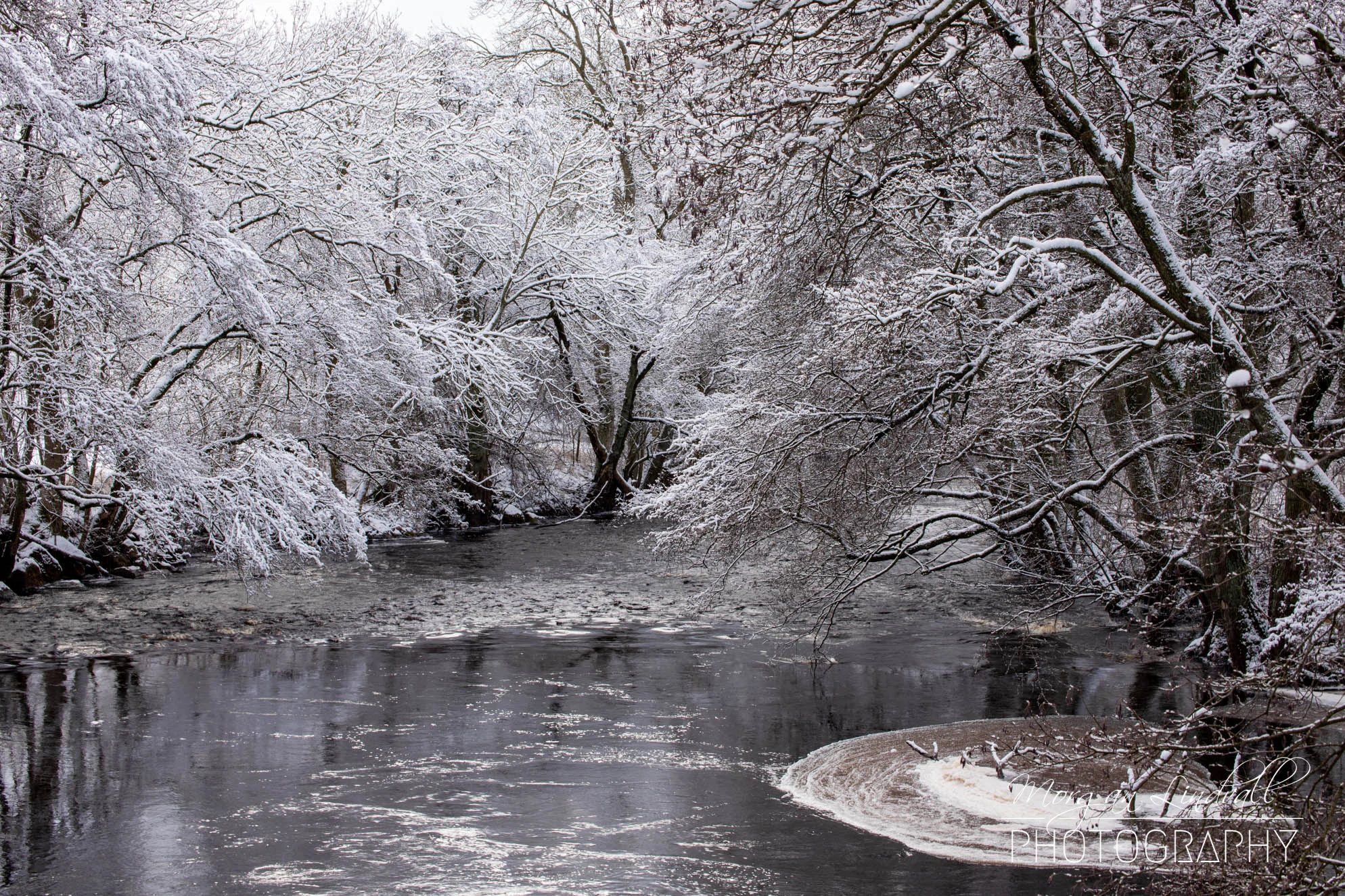 Vinter