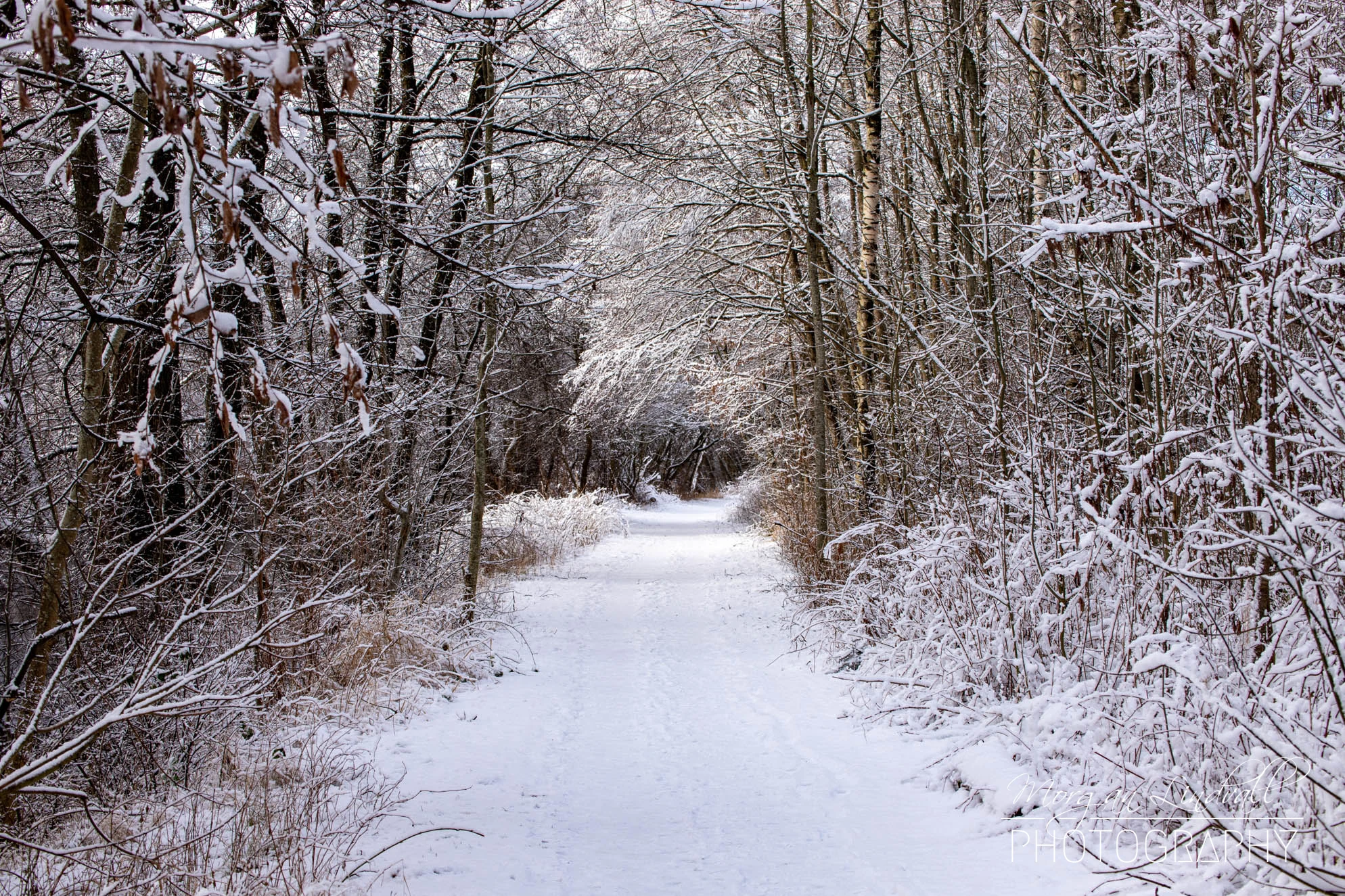 Vinter